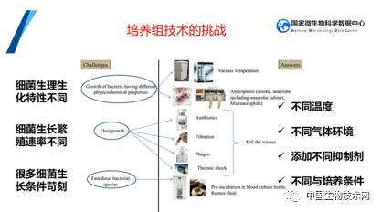 培養(yǎng)組通幽微世界，助力微生物資源大作為——記國(guó)家微生物科學(xué)數(shù)據(jù)中心網(wǎng)絡(luò)精品課網(wǎng)絡(luò)技術(shù)開發(fā)